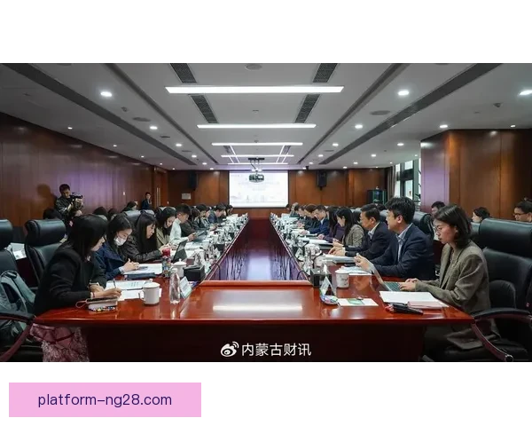 国家队核心球员伤停应急机制与战术重构策略研究及长期发展保障路径